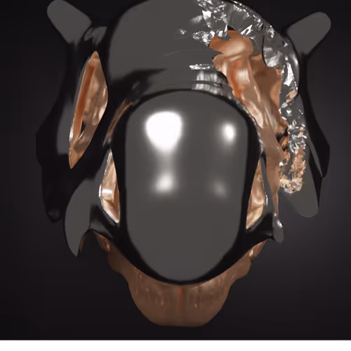 Things in head