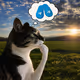 Thinking Cat