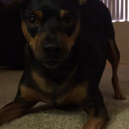 Thoughts Into Art - old