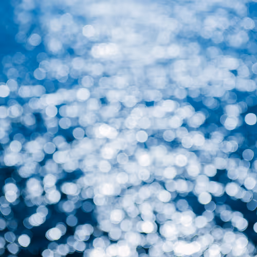 Thousands of dizzying lights