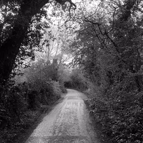 Three shades of Nature - old V2