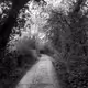 Three shades of Nature - old V2