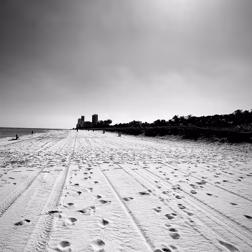 Through a Lens (B&W) - old