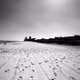 Through a Lens (B&W) - old