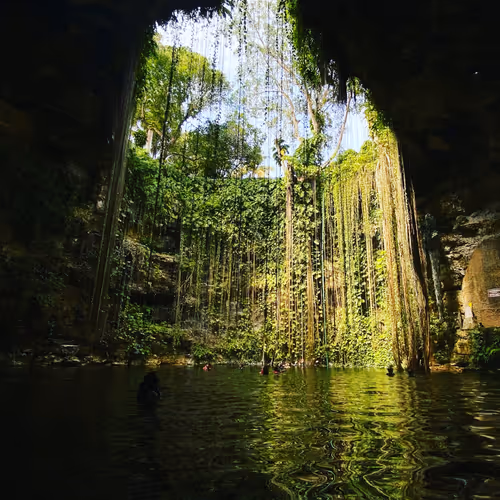 Through My Eyes 2020-2021