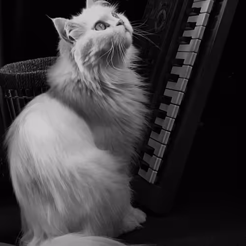 Through my lens - series