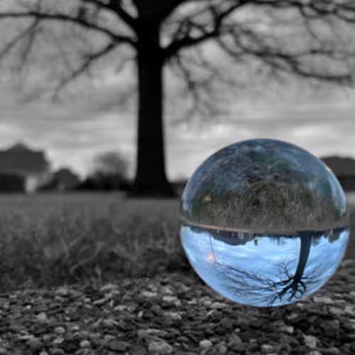 Through the glass reflections