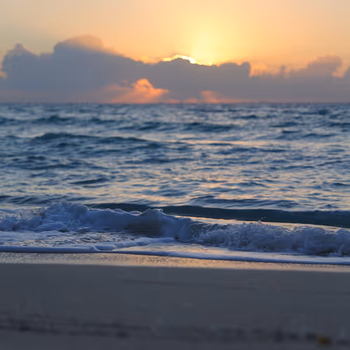 Through my lens nfts - old