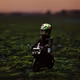 Manipulation collectible