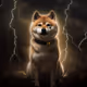 Thunder Doge