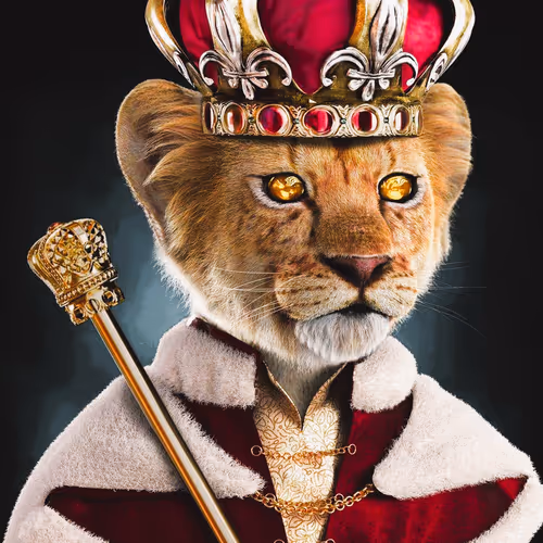 Tiger 4K collection!!