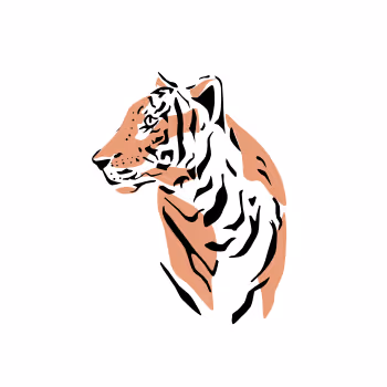 _Tiger