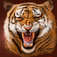 Tiger Head