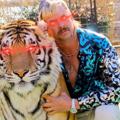 Tiger King 2 Trading Cards - old