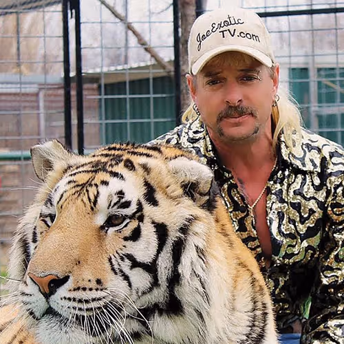 Not really that impressive trading cards