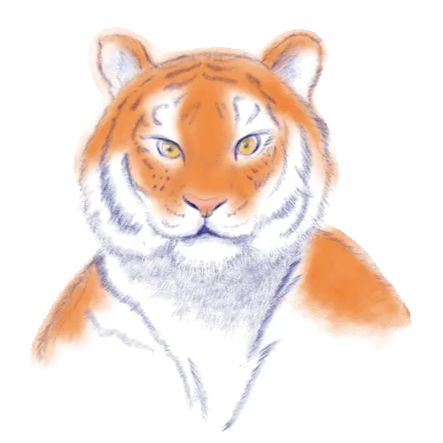 Tiger-Machine-Meta