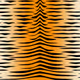 Tiger Skin - old