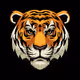 tiger_style - old