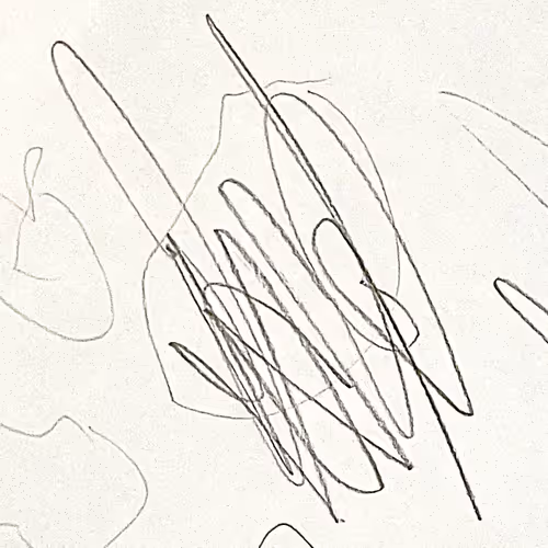 TigerBloom | Firecracker