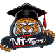 TIgerDAO
