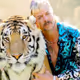 Tiger King Tribute - old