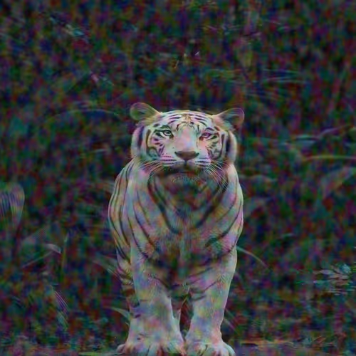 Tigers Art Collection