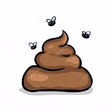 "TIHS" - read backwards