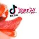 TikTok Insanity