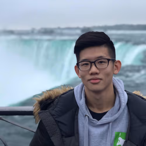 Tim Cheung Slayer - old