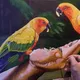 Timelapse painting