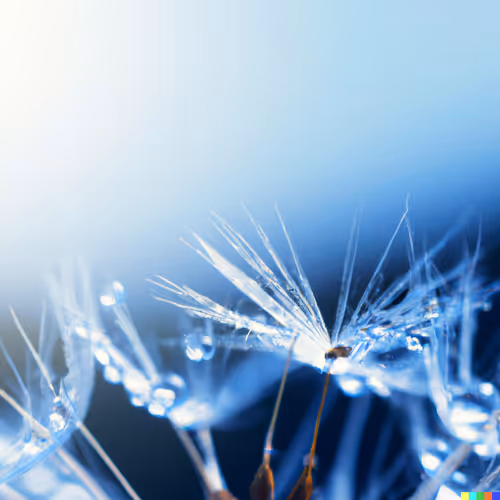 tina's fantastic collecthion