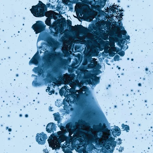 Tinted Dreams Collection