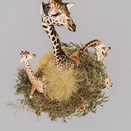 TINY PLANET ANIMALS - old