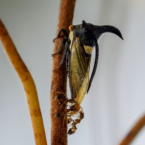 Tiny Beast Photography