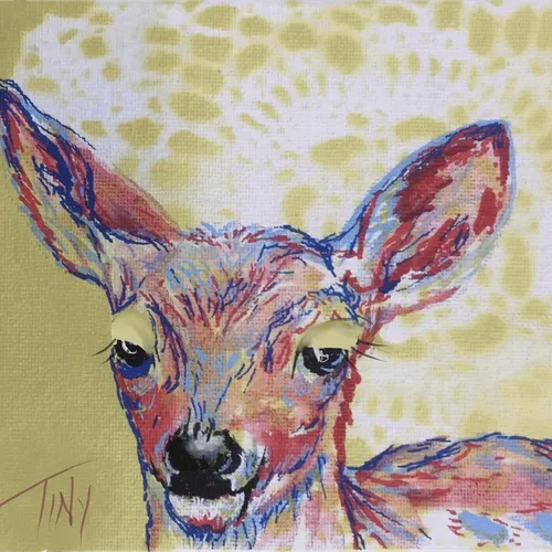 Editions & Loyalty Drops