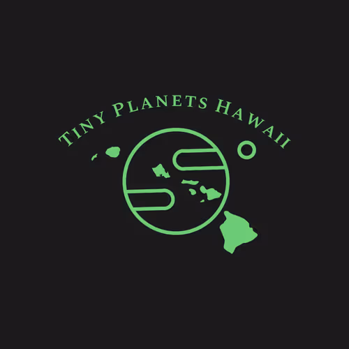 Tiny Planets Hawaii