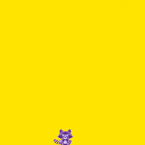TINY REJECTED RACOONS