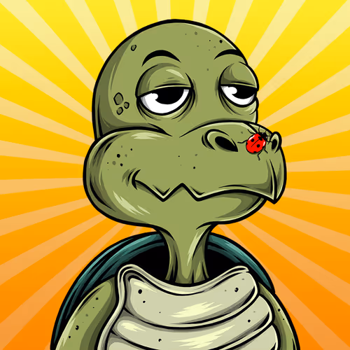 Tired Turtle Collectibles