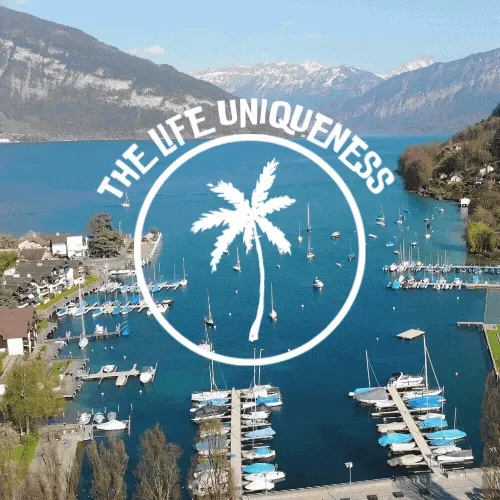The Life Uniqueness - old