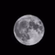 To da moon V2