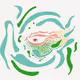 To see is to believe