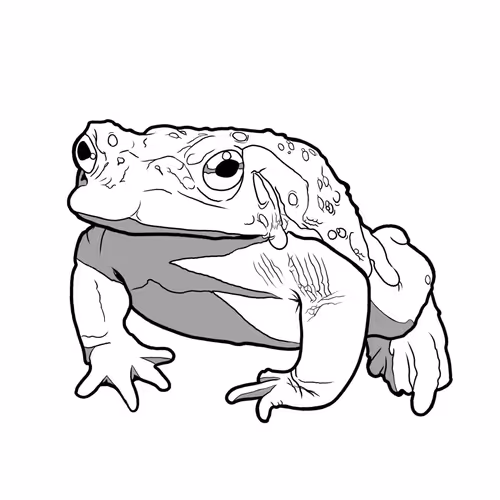 TOADLAND - old V2