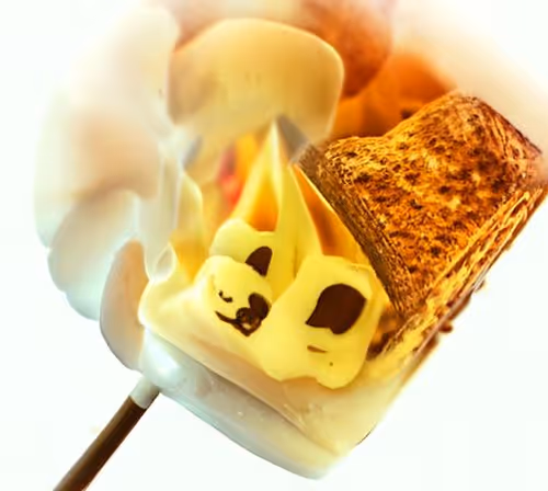 Toasted Marshmello