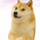 602