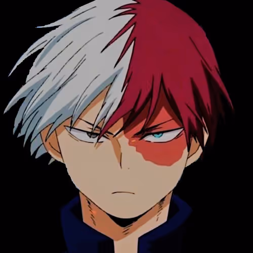 Shoto Todoroki the Icy Hot!