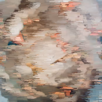Tokenized Renaissance