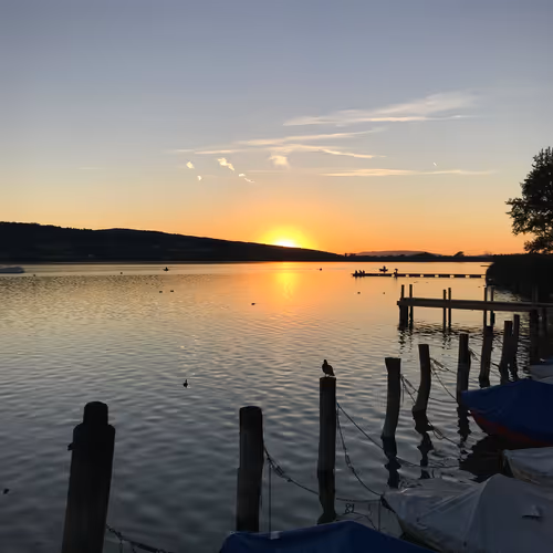 TokTokSea Collection