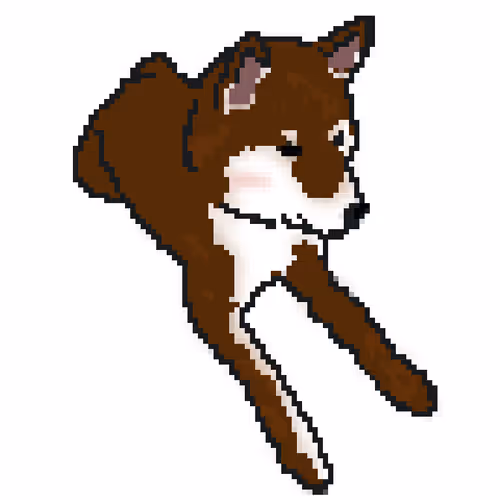 tokyo shibainu collection.