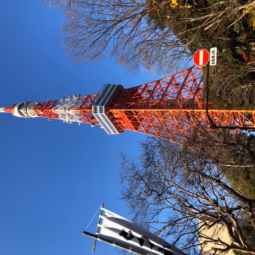 Tokyo tower fine