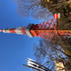 Tokyo tower fine